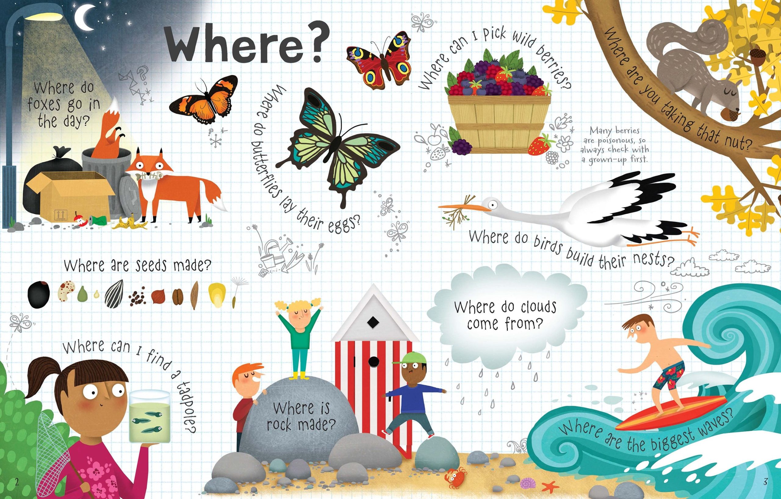Questions and answers about Nature, carte cu clapete, Usborne - imagine 2