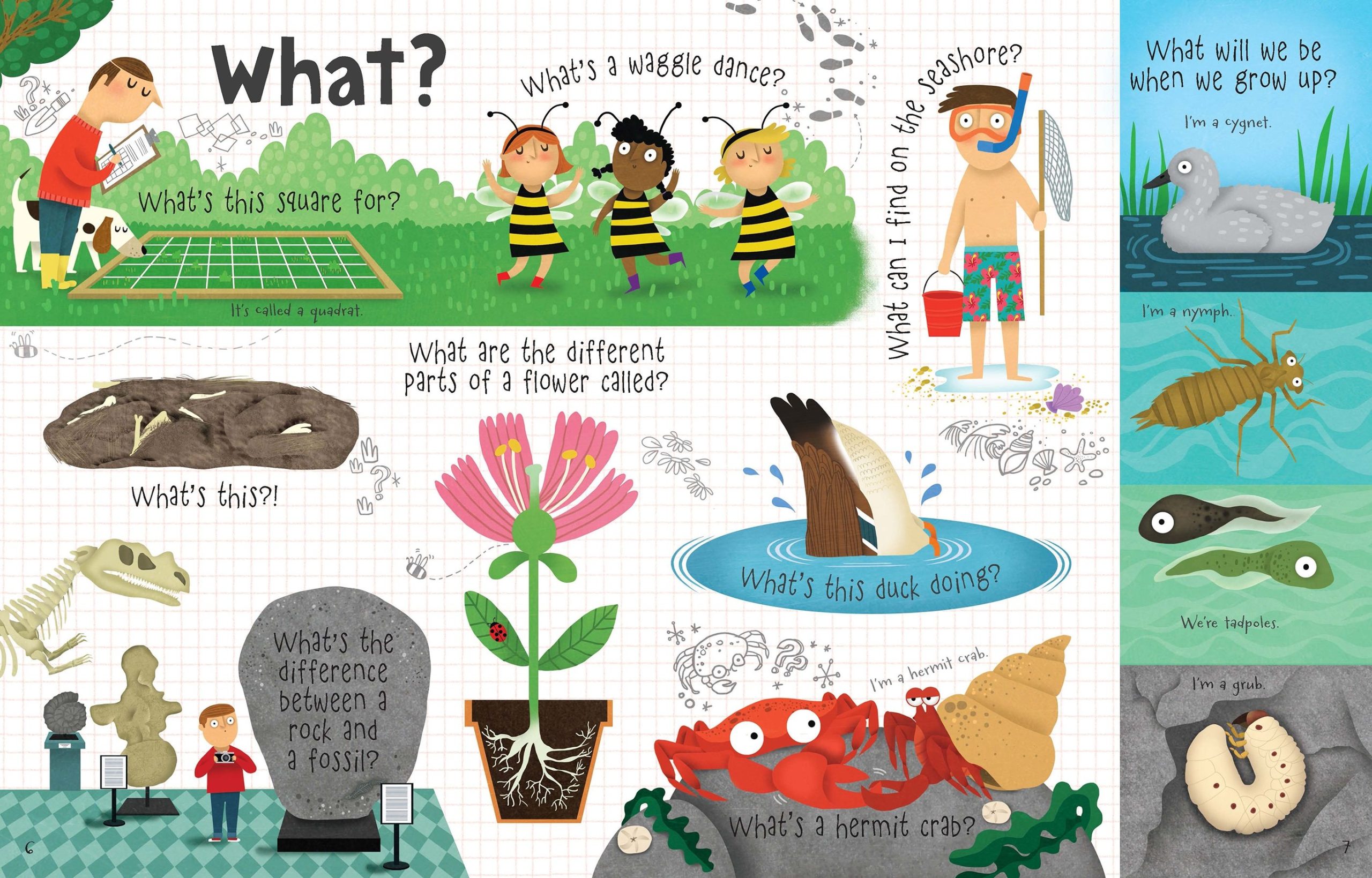 Questions and answers about Nature, carte cu clapete, Usborne - imagine 4