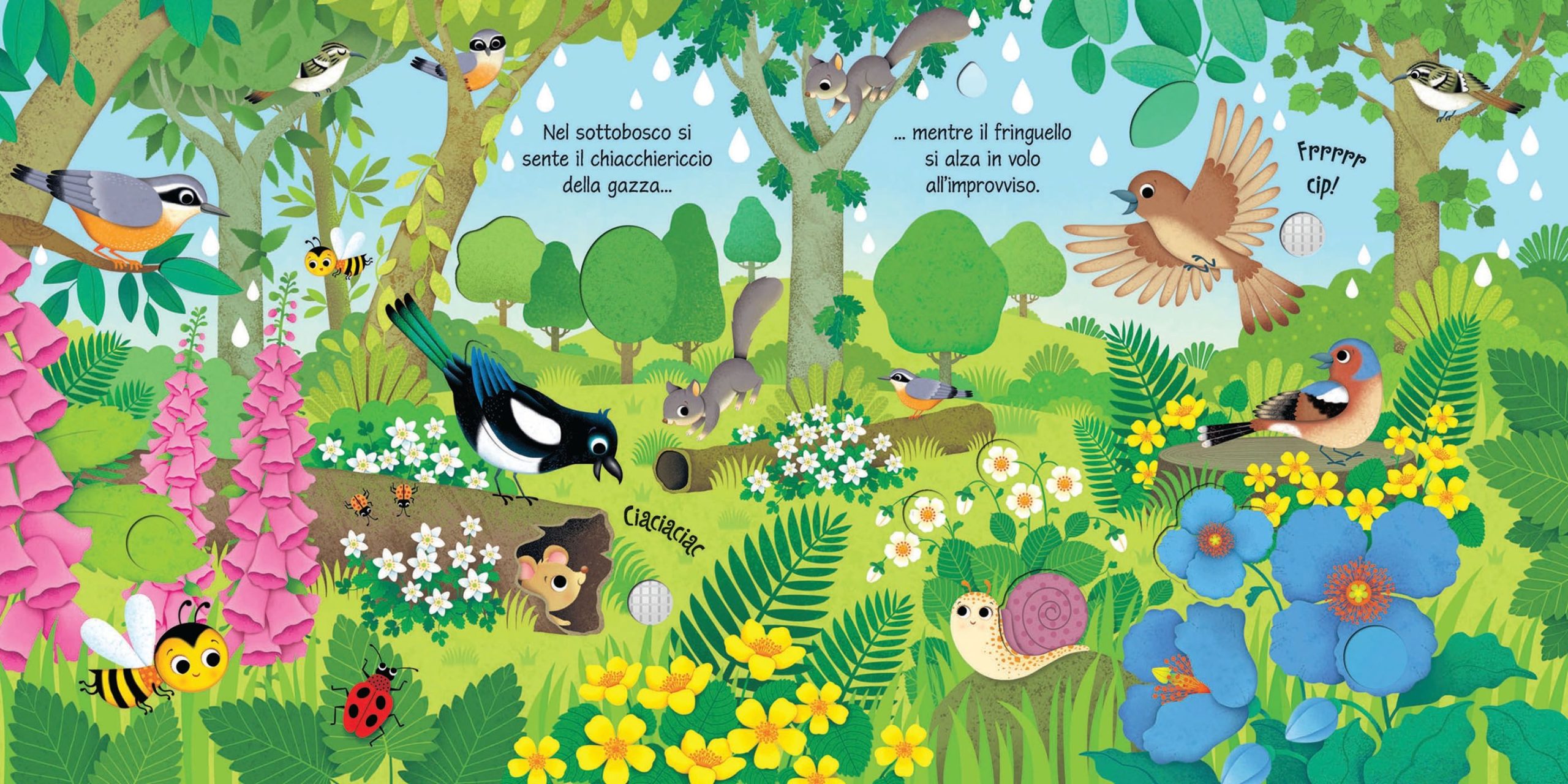Usborne