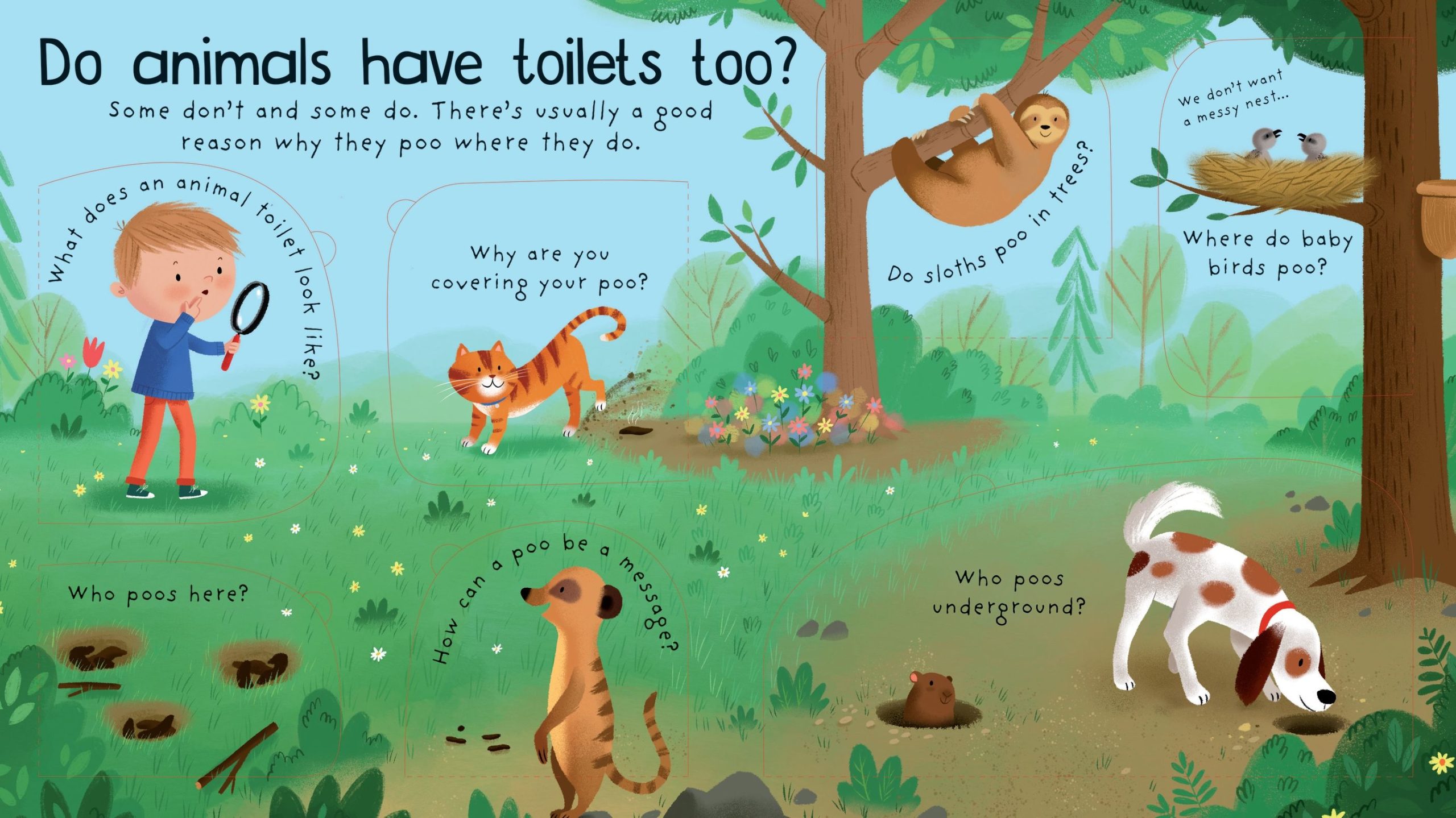 Where Does Poo Go?, carte cu clapete,Usborne - imagine 2