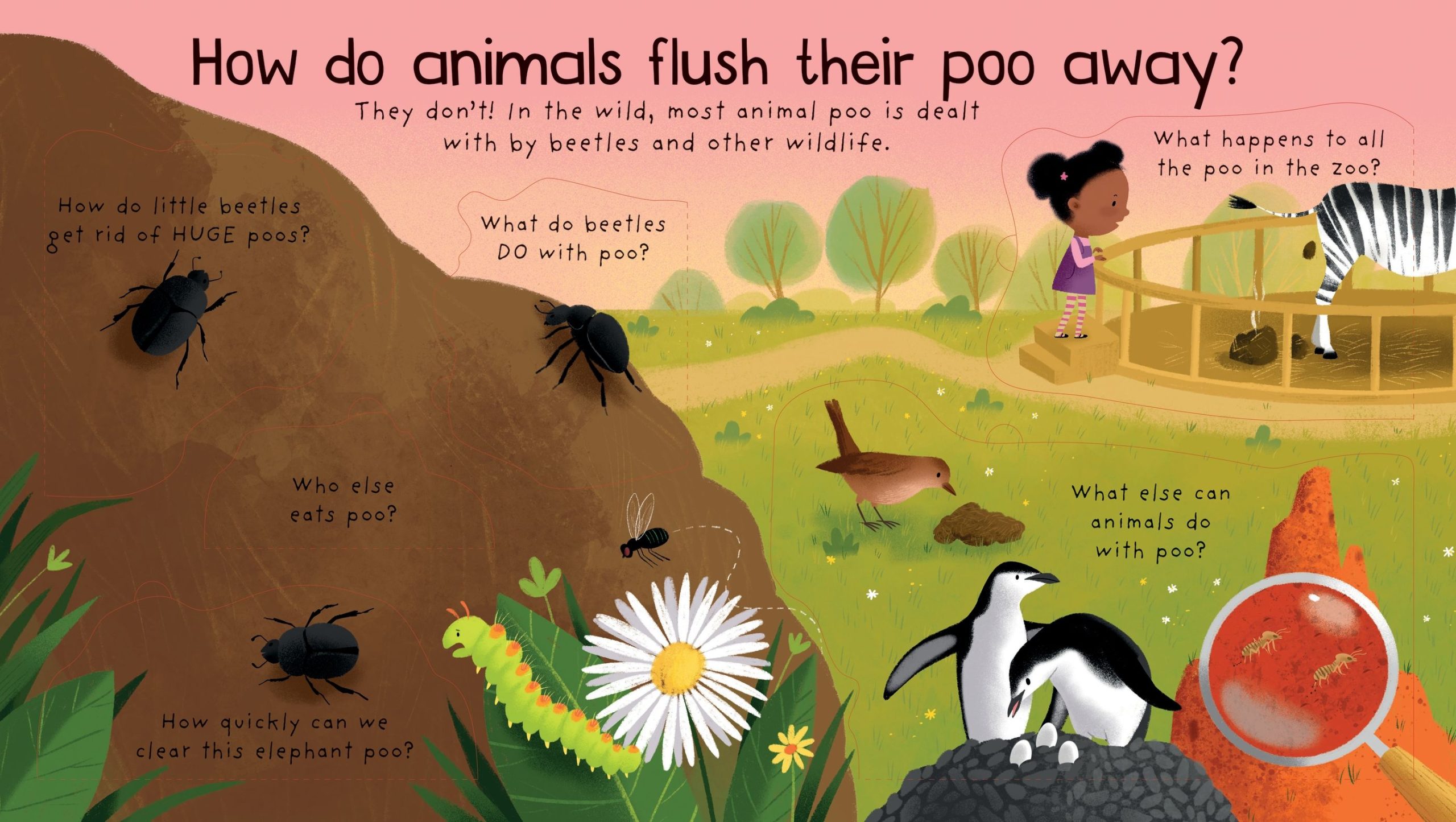 Where Does Poo Go?, carte cu clapete,Usborne - imagine 3