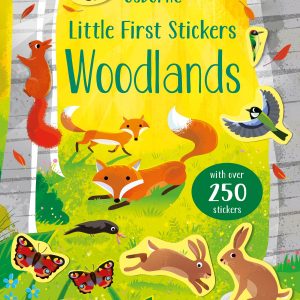 Carte cu stickere Woodlands, Usborne