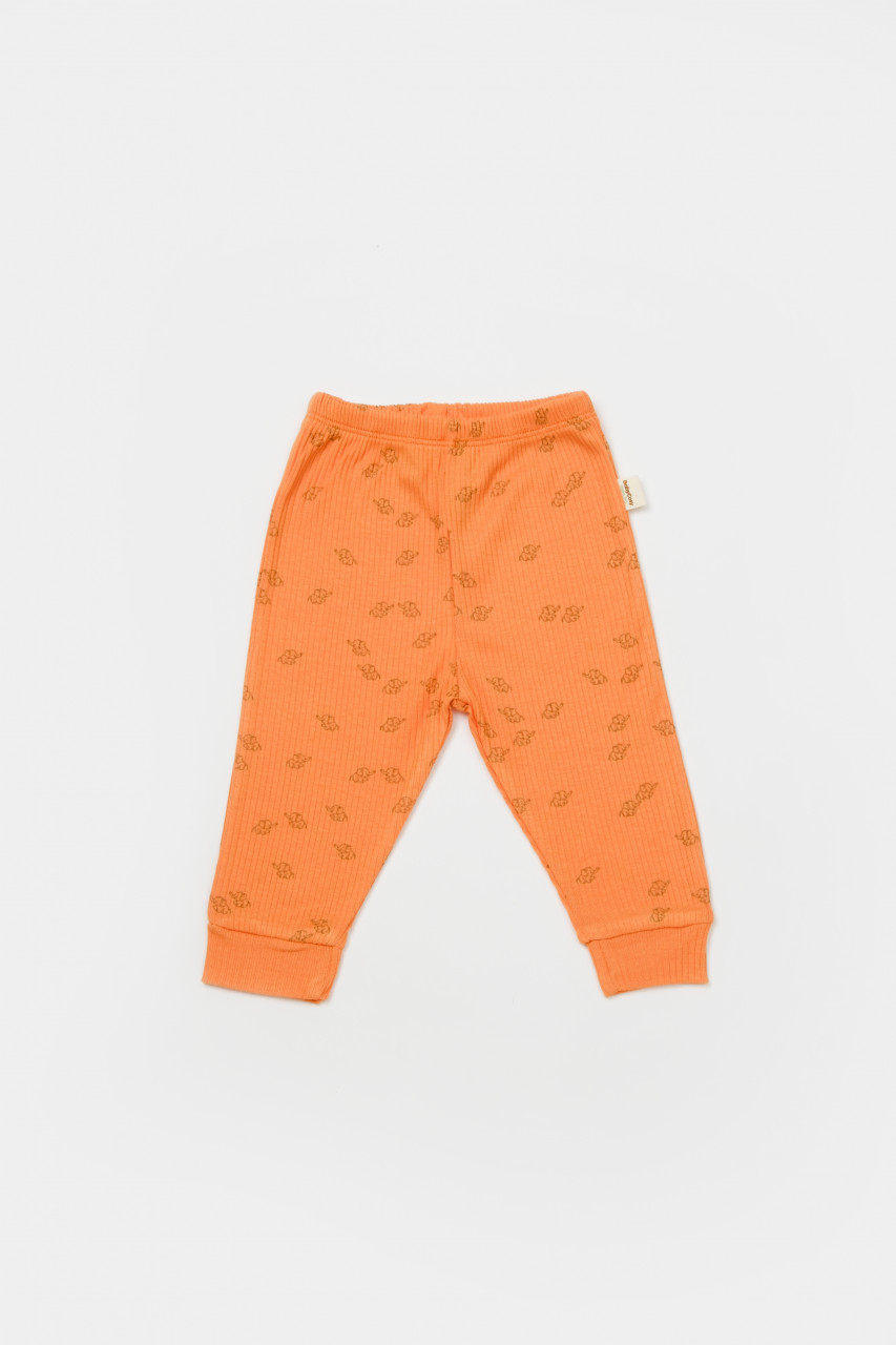 Set 2 pantalonasi Printed, BabyCosy, 50% modal+50% bumbac - imagine 9