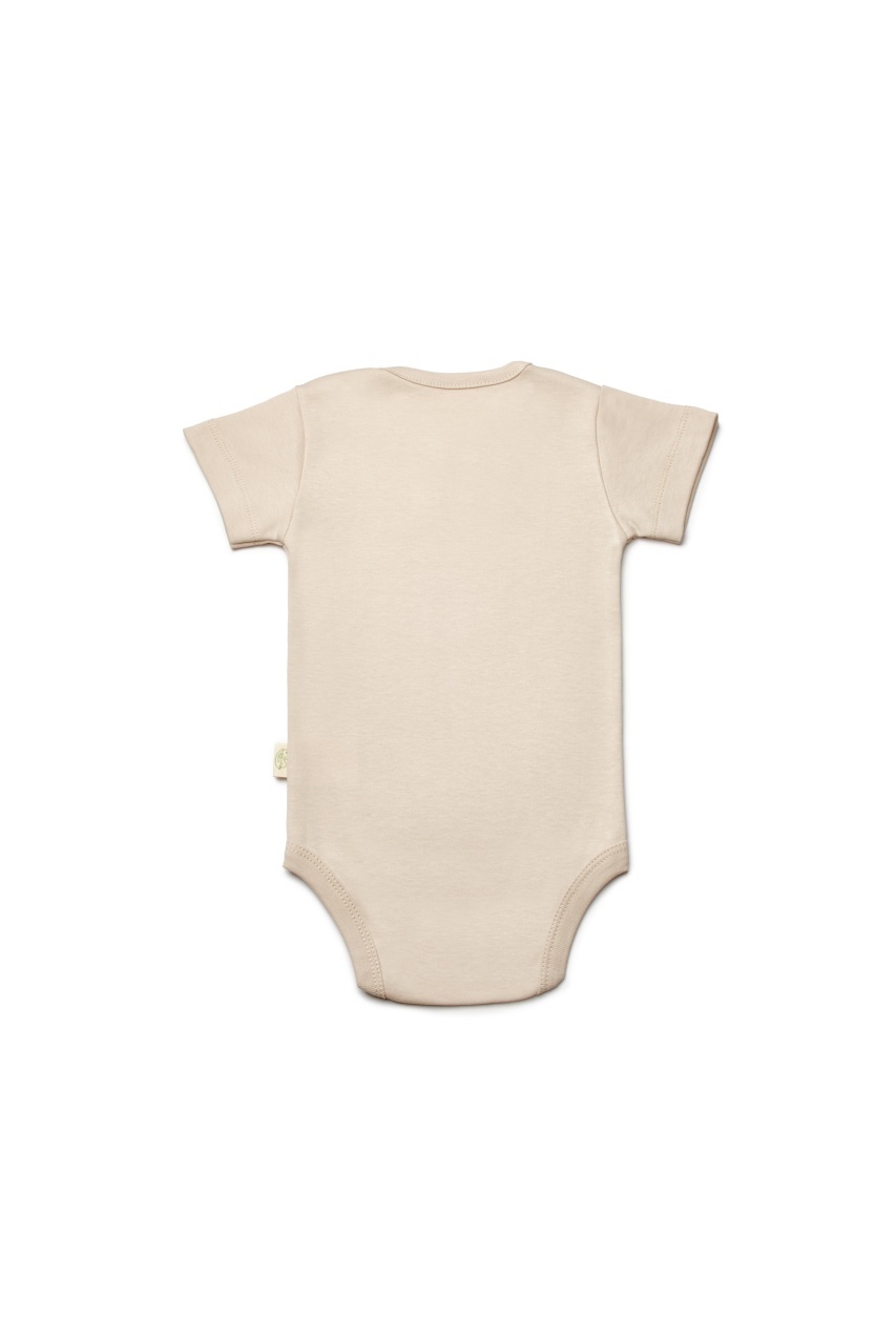 Set de 3 body TeddyBear, BabyCosy, 100% bumbac - imagine 4