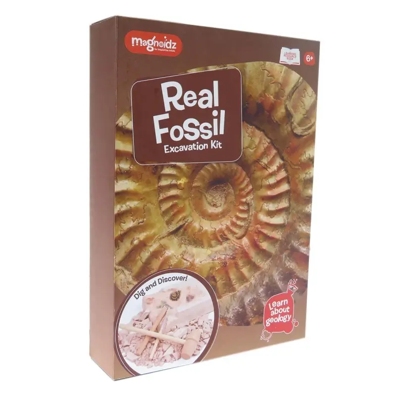 Kit paleontologie - Descopera fosile - imagine 3
