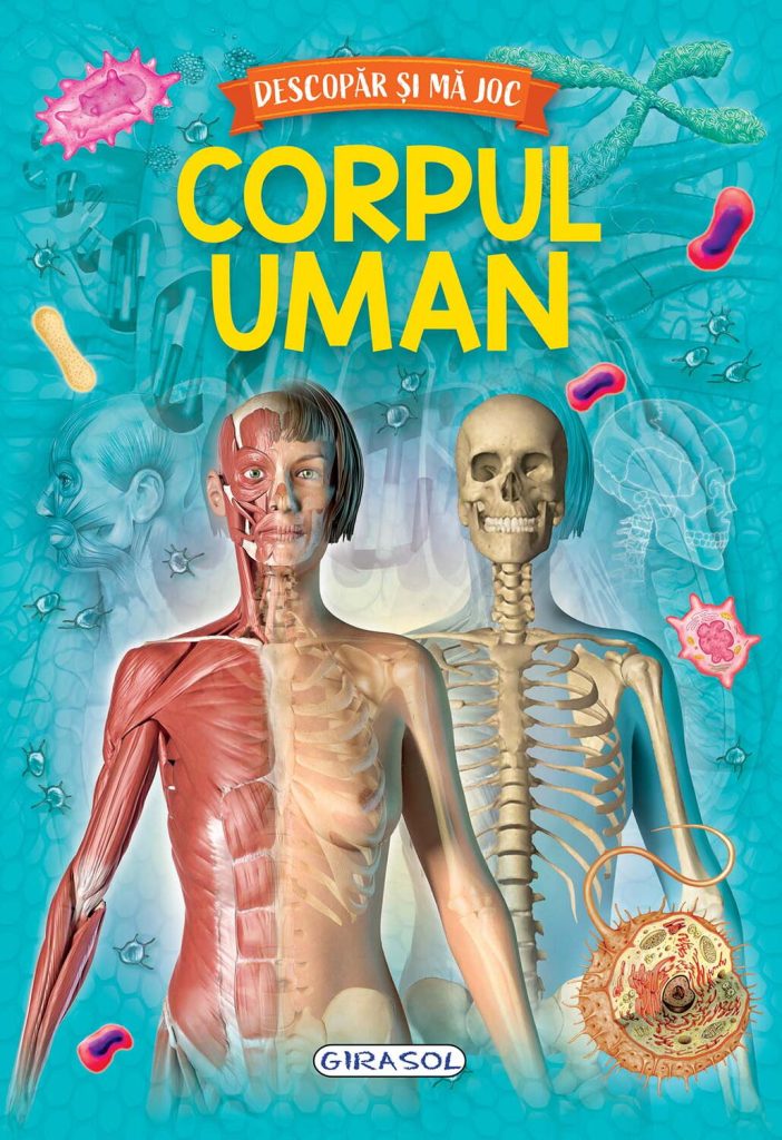 Descopar si ma joc - Corpul uman GIRASOL