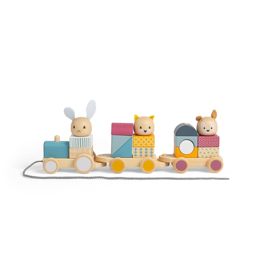 Trenulet cu forme - Animalute vesele BIGJIGS Toys