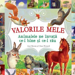 Valorile mele. Animalele ne invata ce-i bine si ce-i rau GIRASOL