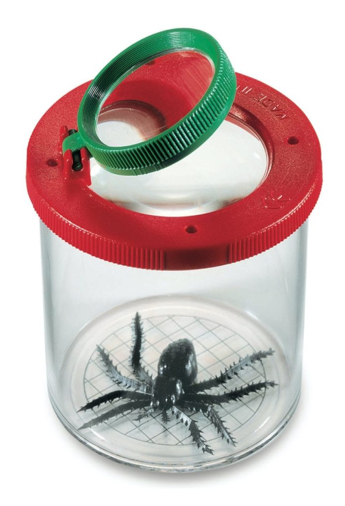 Cea mai buna cutie cu lupa pentru observarea insectelor