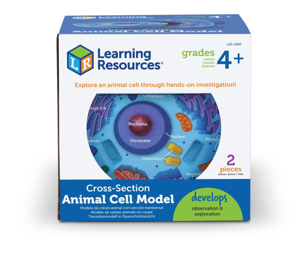 Sectiunea celulei animale Learning Resources