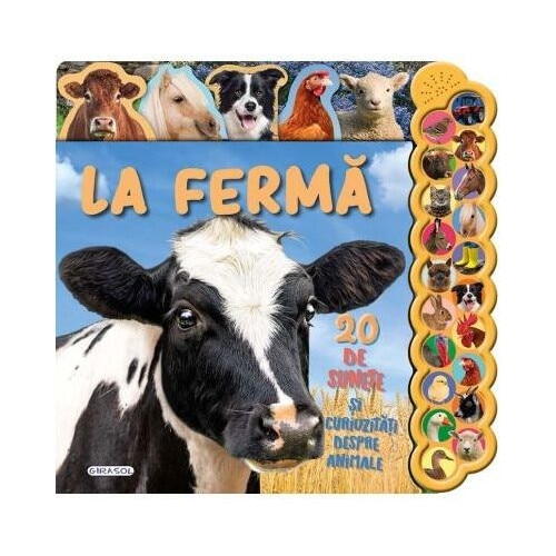 20 de sunete si curiozitati - La ferma GIRASOL