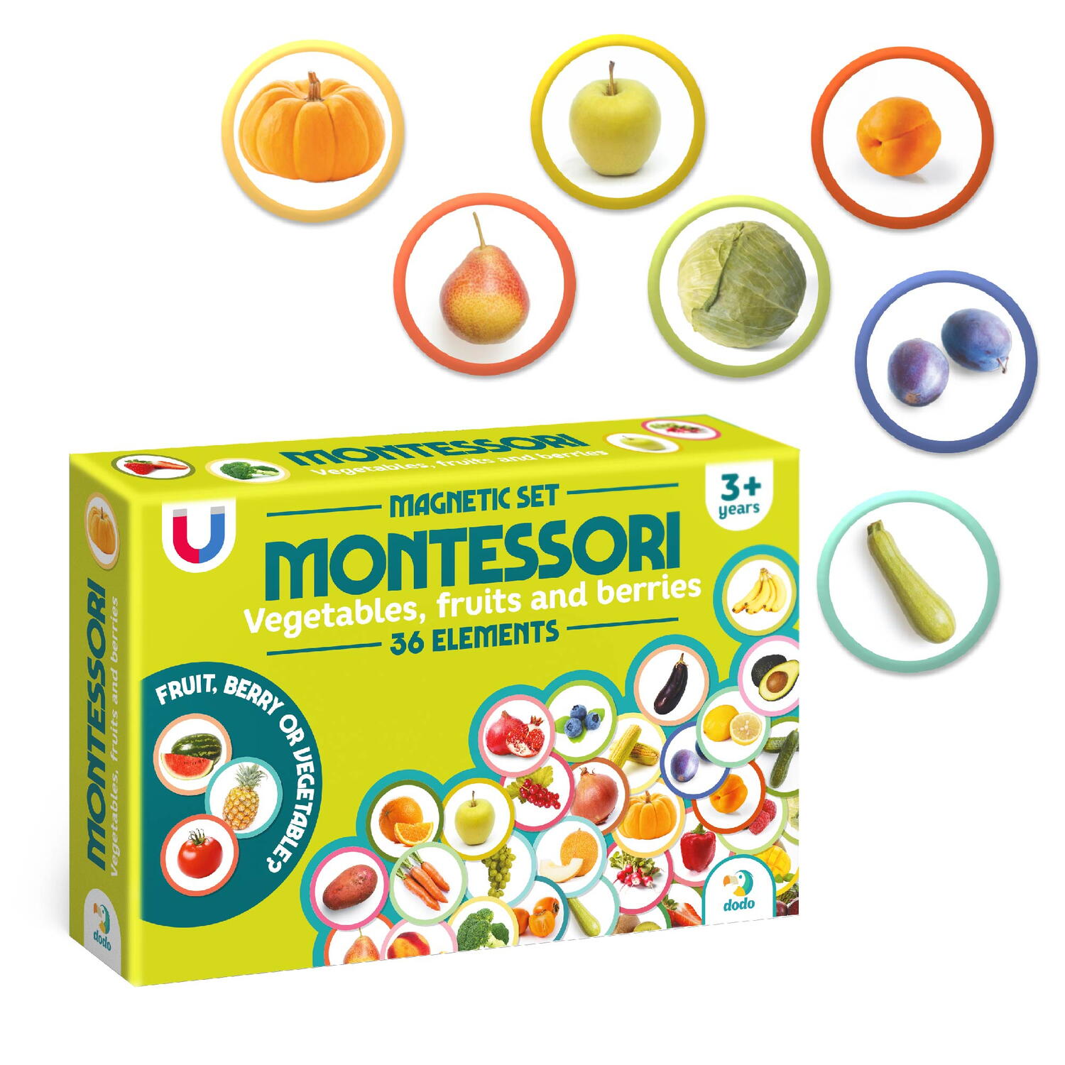 Set magneti Montessori - Fructe si legume - imagine 2
