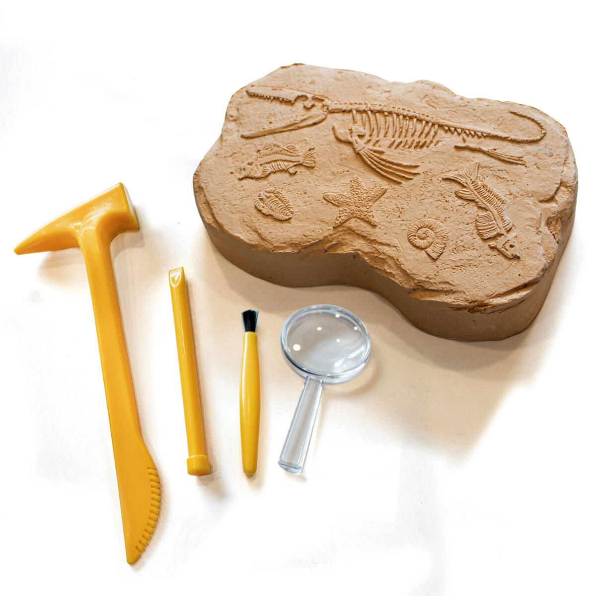 GeoSafari - Kit excavare fosile - imagine 2