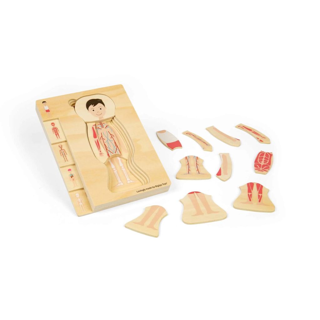 Puzzle anatomic din lemn - Baiat BIGJIGS Toys