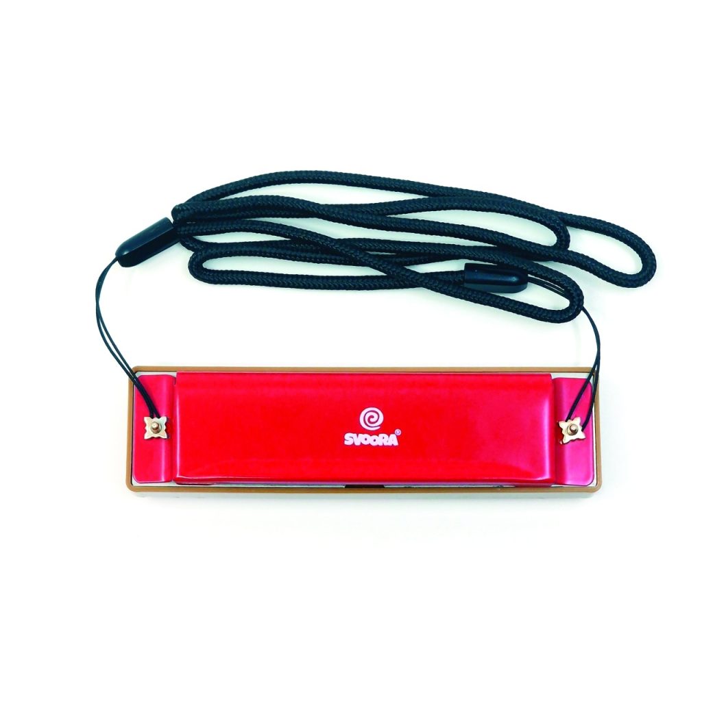 Instrument muzical Muzicuta