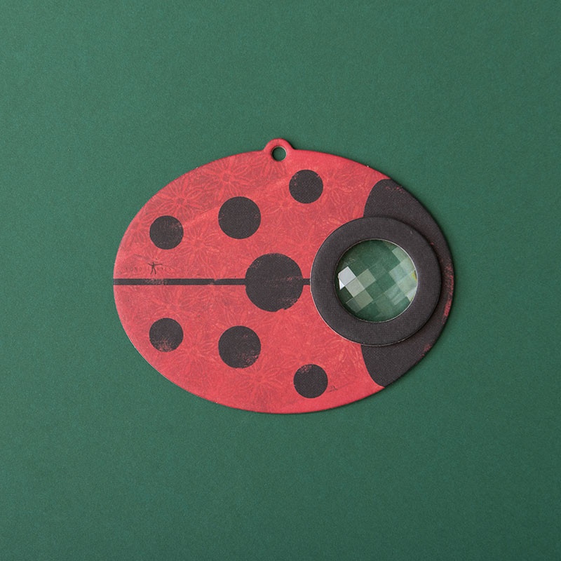 Jucarie optica Buburuza