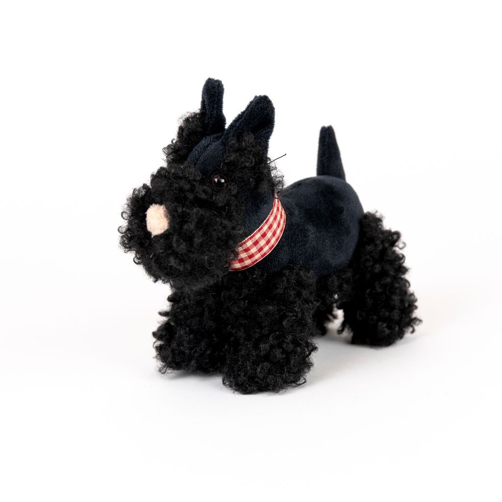 Catelus de plus Walter