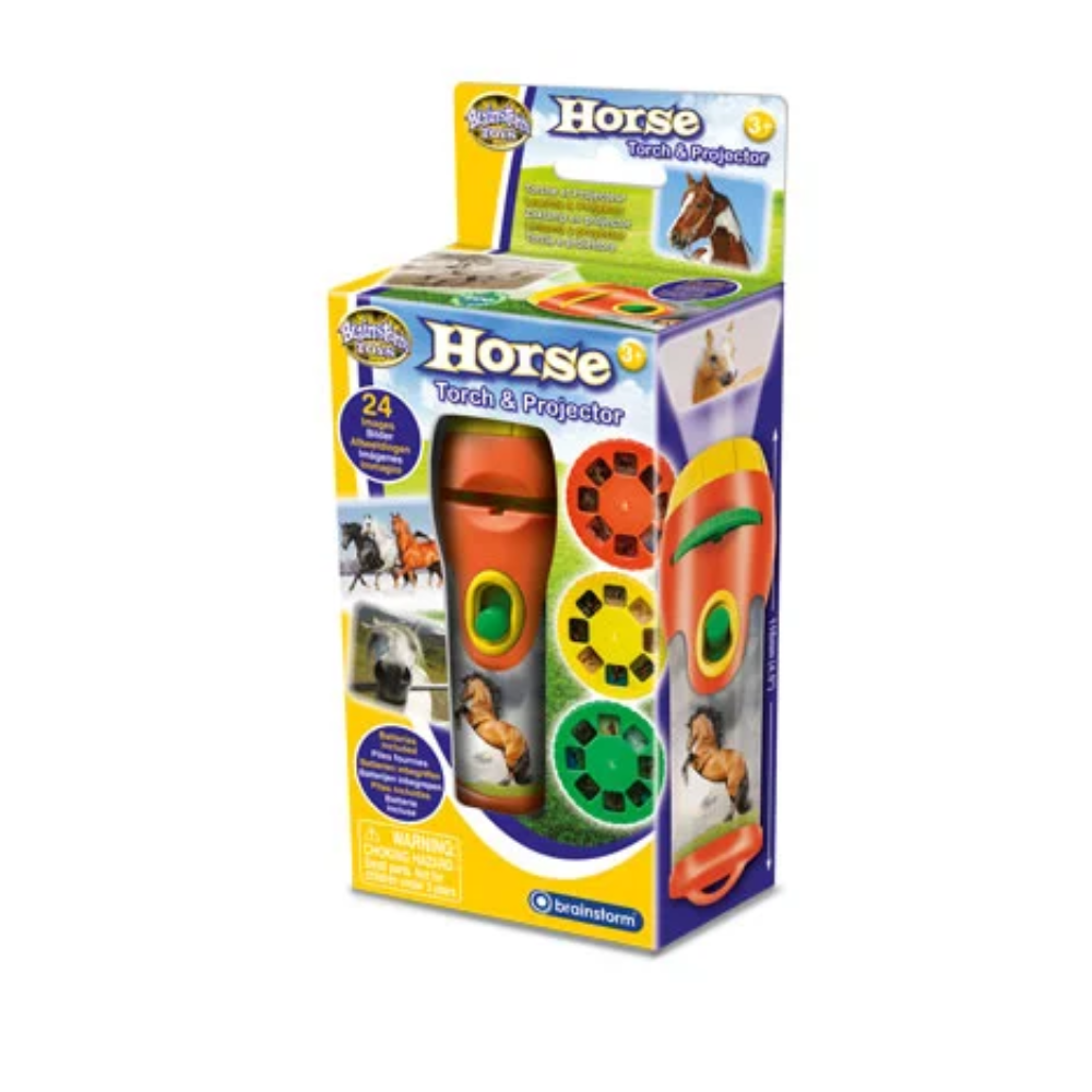 Proiector tip lanterna - Caluti